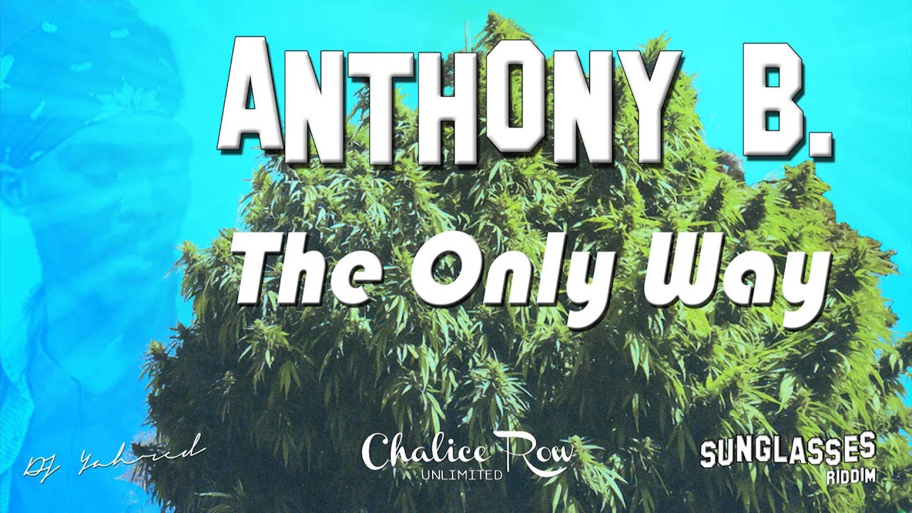 Anthony B - The Only Way - Sunglasses Riddim