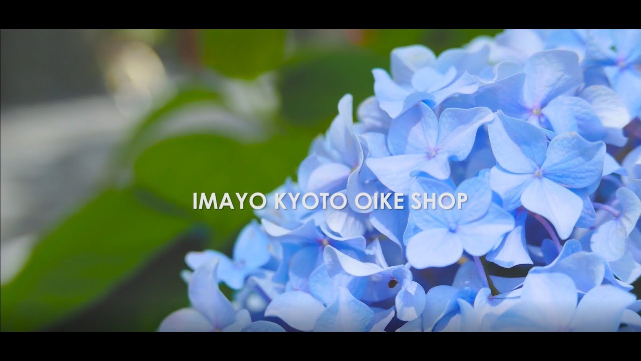 IMAYO KYOTO OIKE SHOP 【京都・御池周辺】