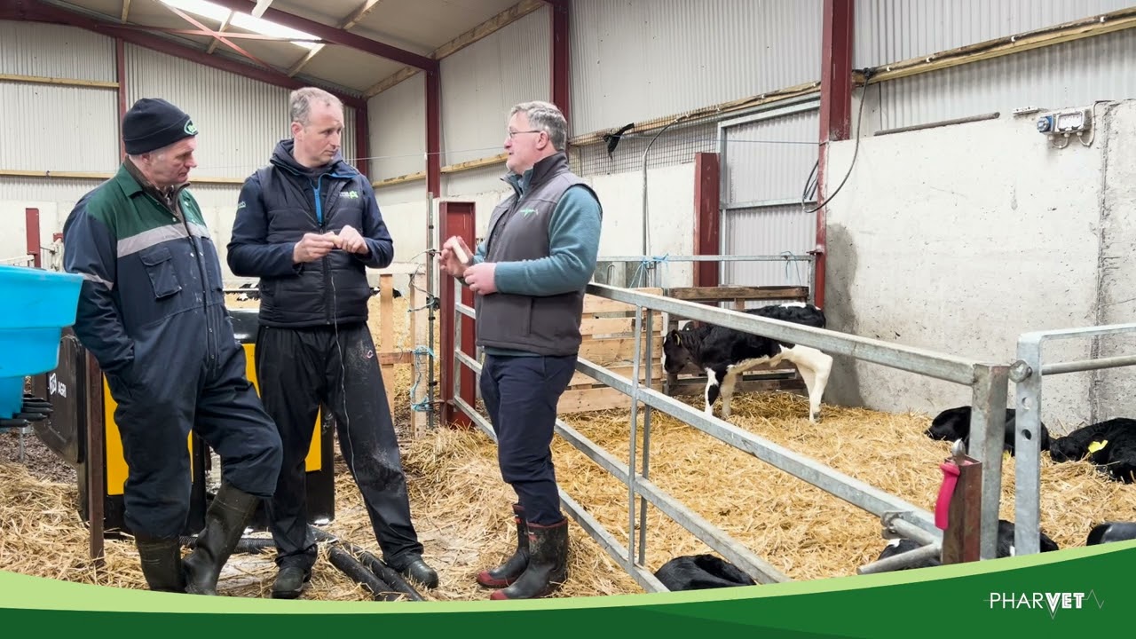 Calf Rearing 2024 - Calf Teats - Best Practice