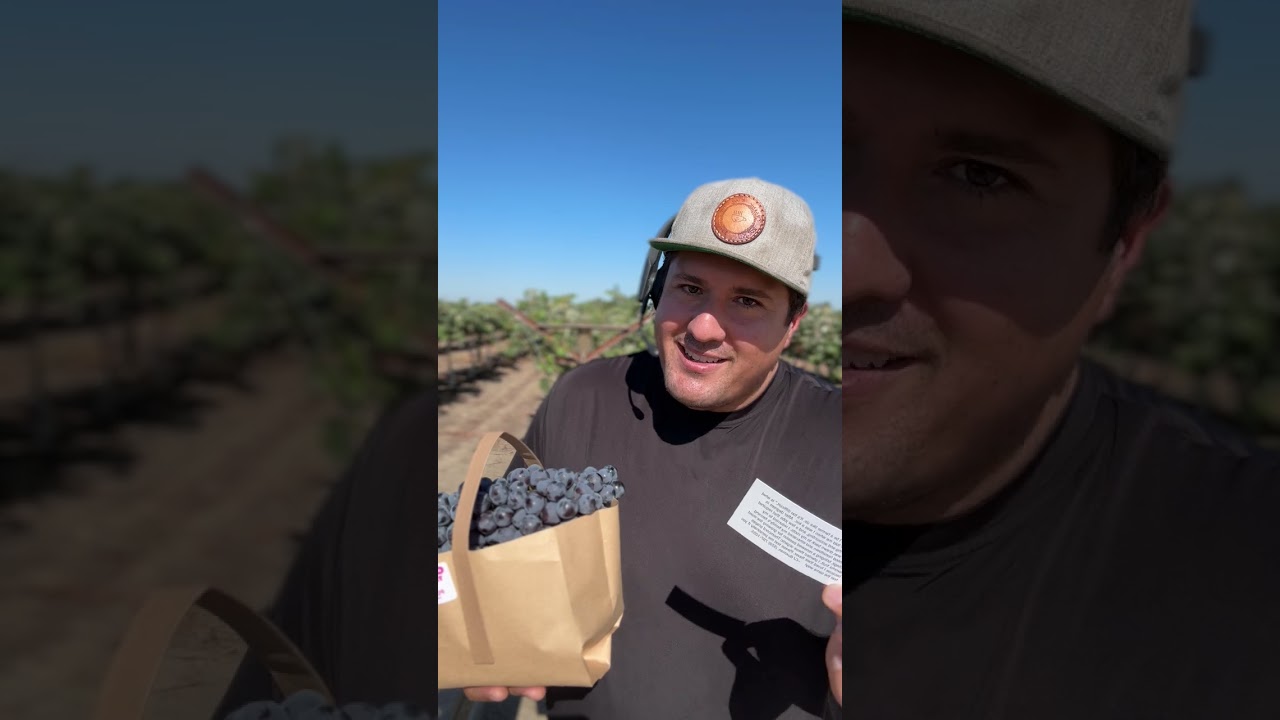 Sunny Cal Thomcord Grapes-