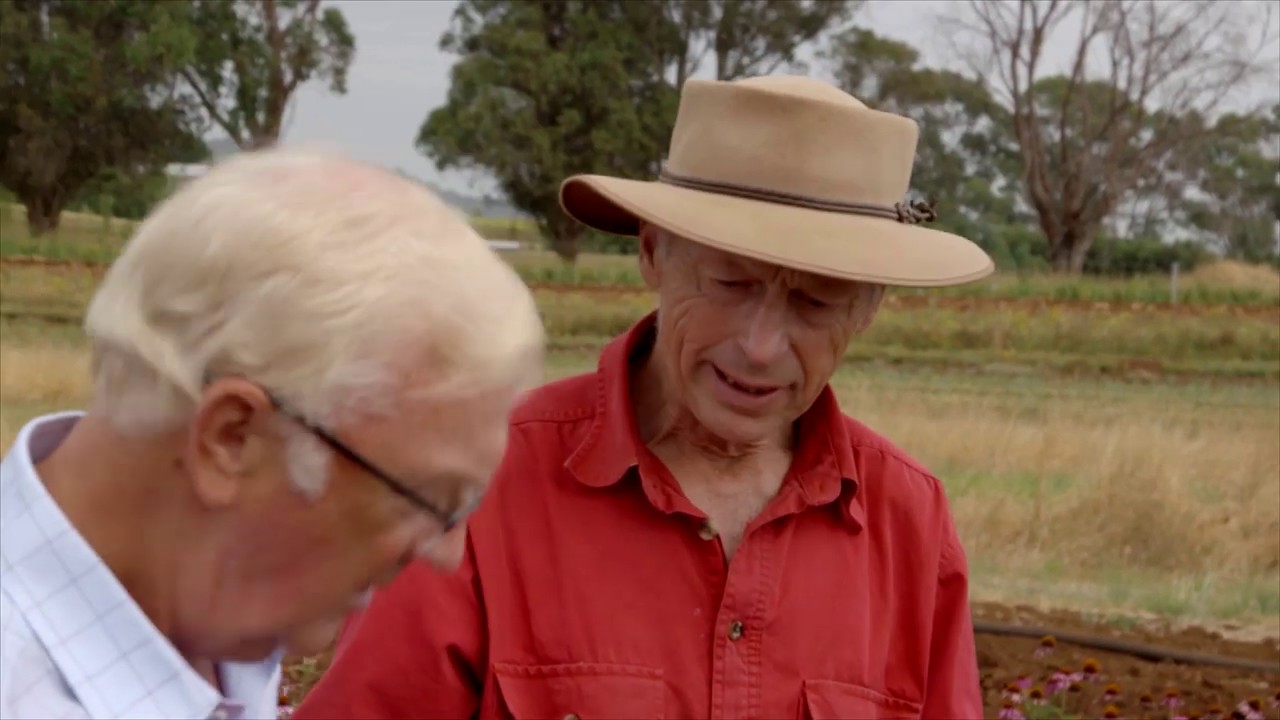 The family farm business growing Australia's only fresh herbal plant extracts