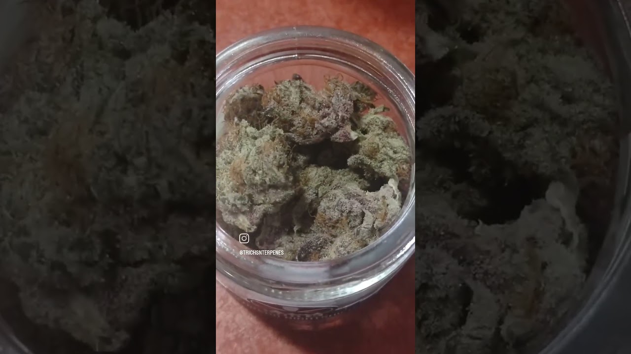 First Looks: Colorado Nightshifter By Sub-X