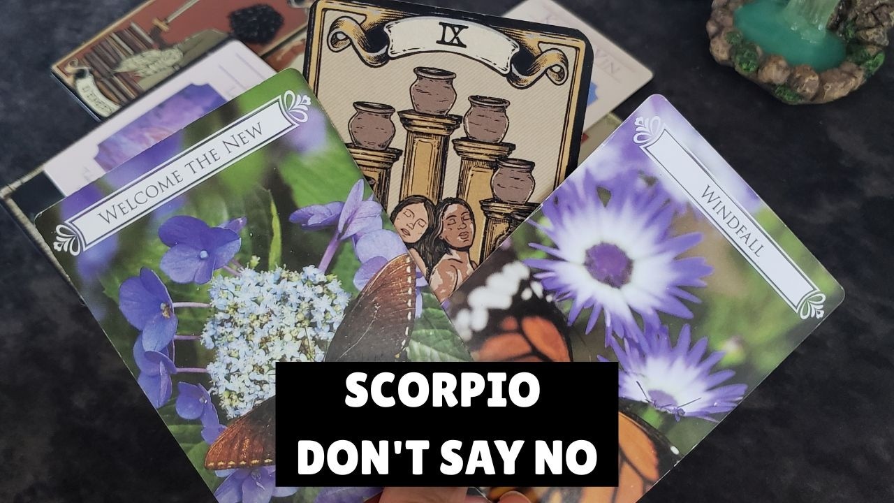 Scorpio! The Opportunity You Almost Talked Yourself Out Of [Scorpio Wealth Code] Episode 2