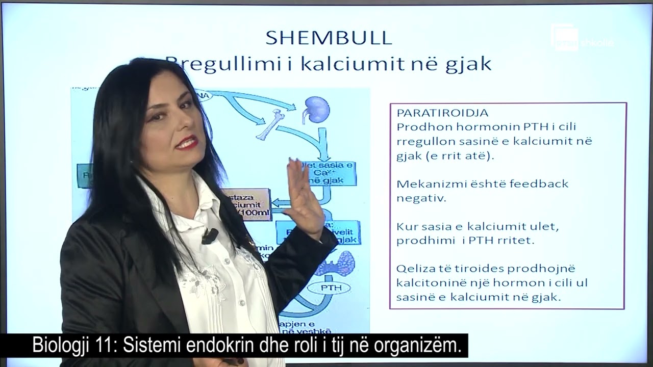 Sistemi endokrin dhe roli i tij në organizëm| Biologji 11