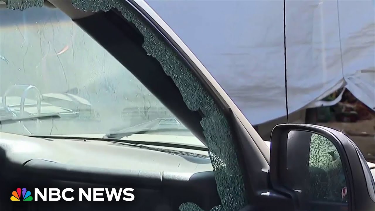Federal agents open fire on immigration vehicle stop caught on camera