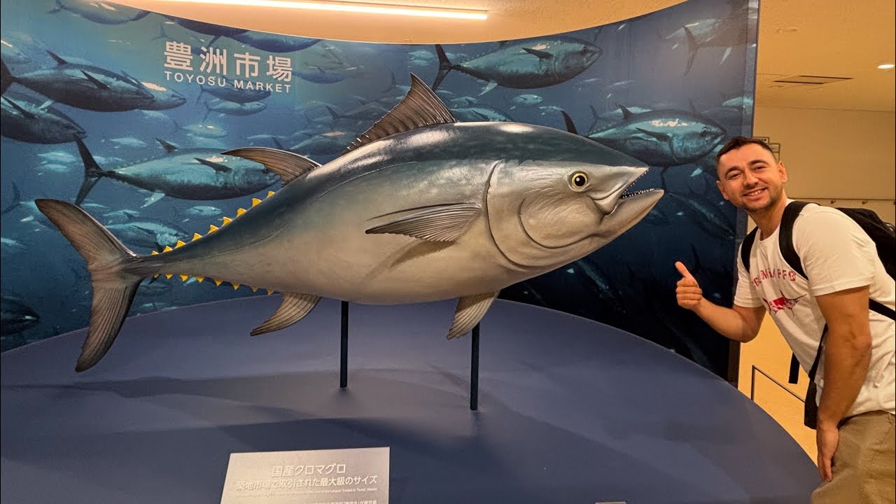 JAPONYA’da AV BAYİİLERİNİ GEZDİM (Bölüm-2) Dünyanın En Pahalı Balıklarının Satıldığı Mezata Gittim!