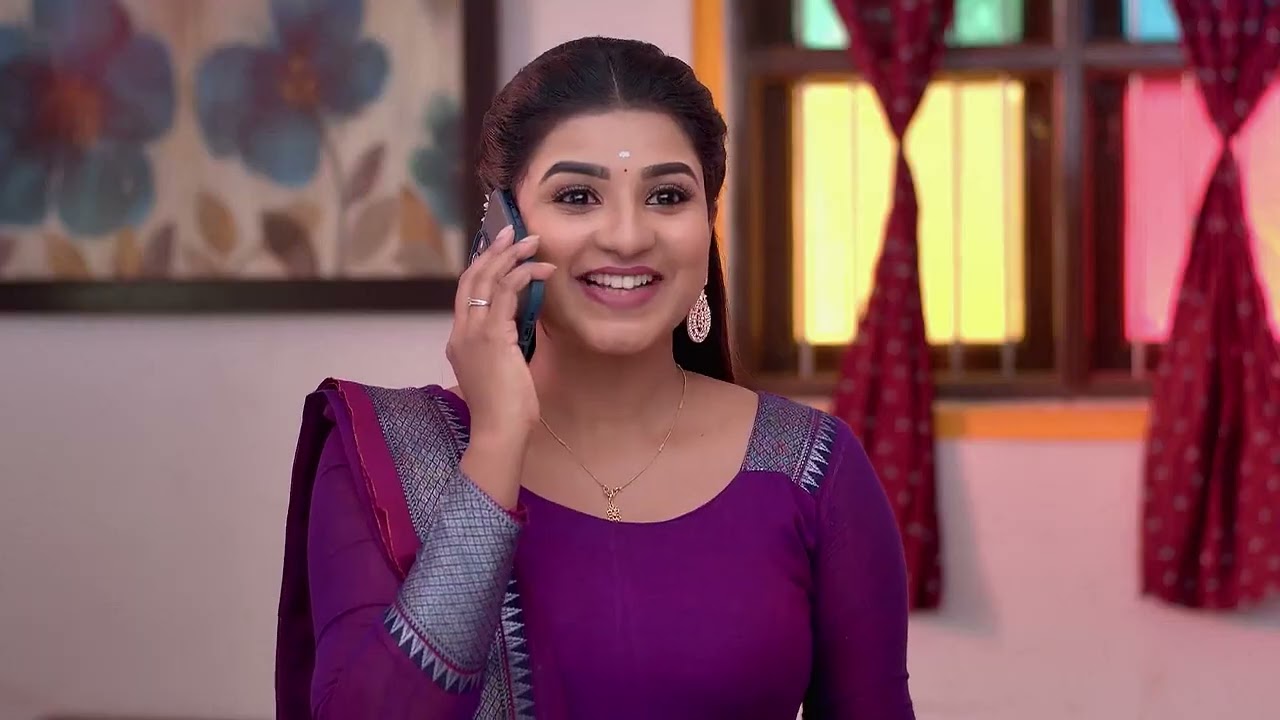 Karthigai Deepam | Ep - 745 | Webisode | Feb 18 2025 | Zee Tamil