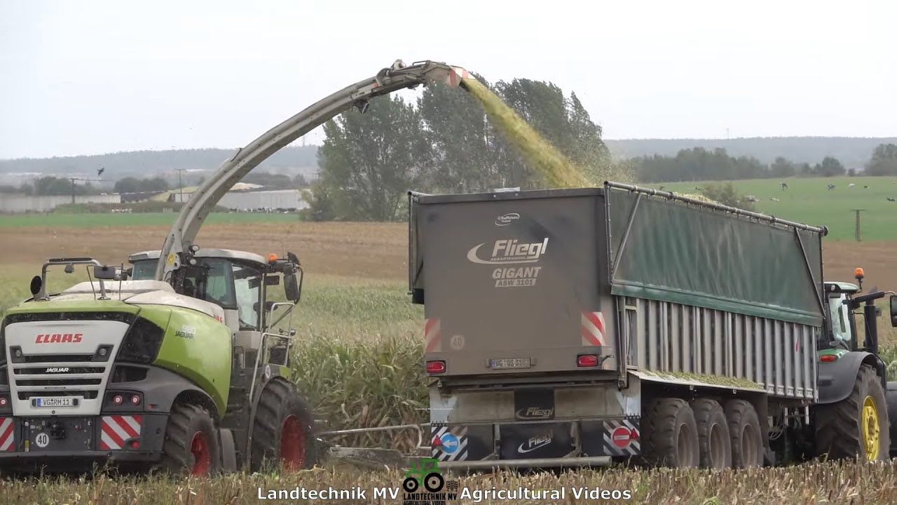 Claas - John Deere - Fendt - ++ / Maissilage - Silaging Maize  2021  pt2