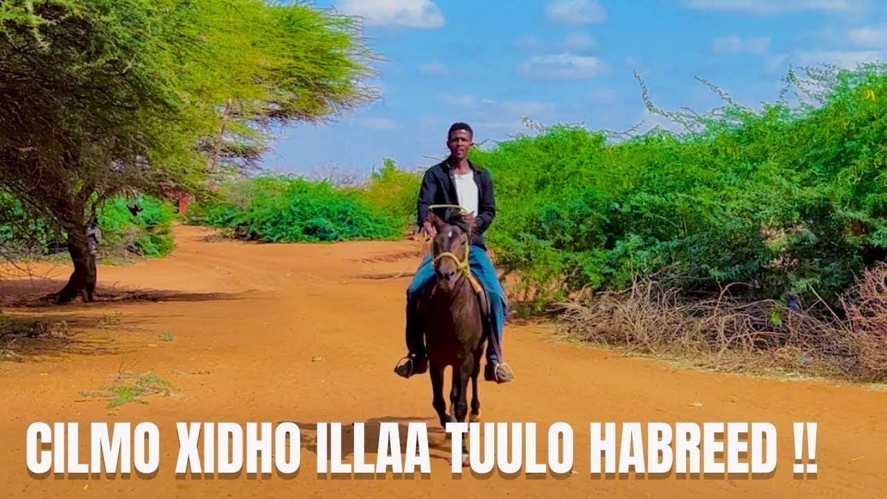 Hal Todobaad Ayaan Fardaha Kaliya Saarnaa Oo Aan Soconaynay | Baadi doonka Geela Xiliga Kaliisha.