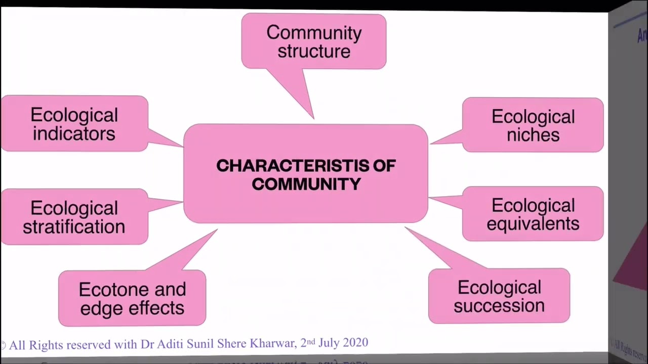 Concepts of Environment, Population, Community and Ecology