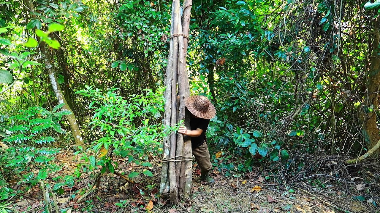 Делайте подушки из бамбука и собирайте дрова: Survival Alone In The Rainforest | ЭП.108
