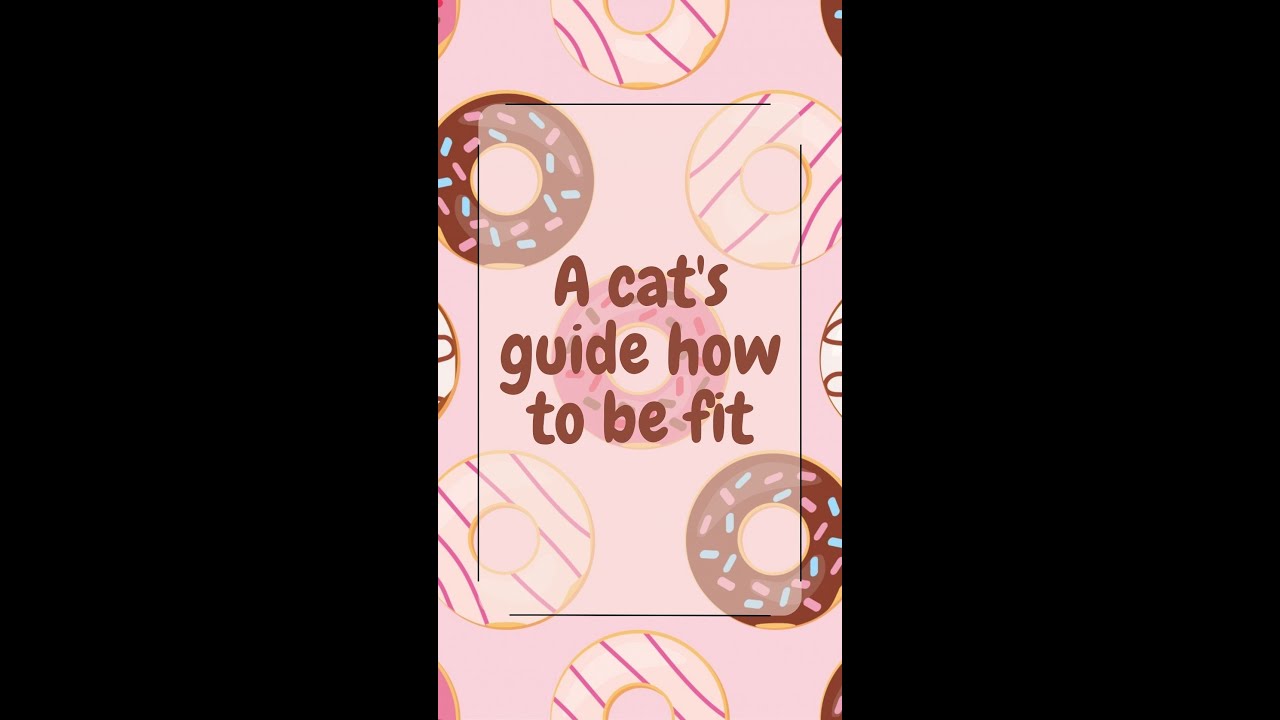 A cat's guide how to be fit #funnycats #sportcats