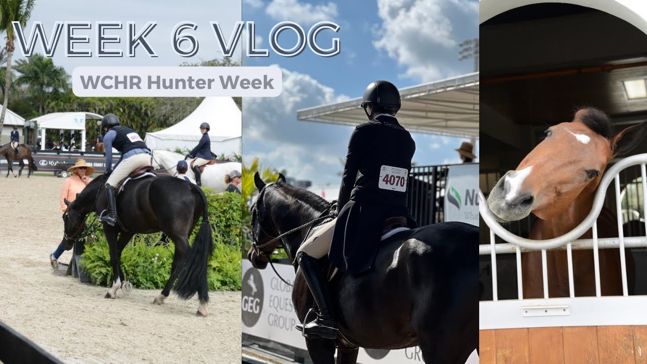 WEF 6 VLOG | WCHR Hunter Week