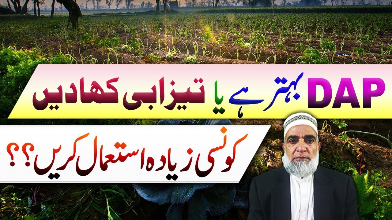 Should farmers use DAP or Acidic Fertilizers || Crop Reformer