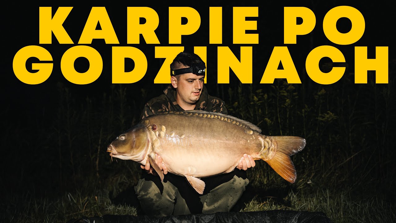 GDZIE SZUKAĆ RYB W GORĄCE DNI? - Piotrek Wardenga