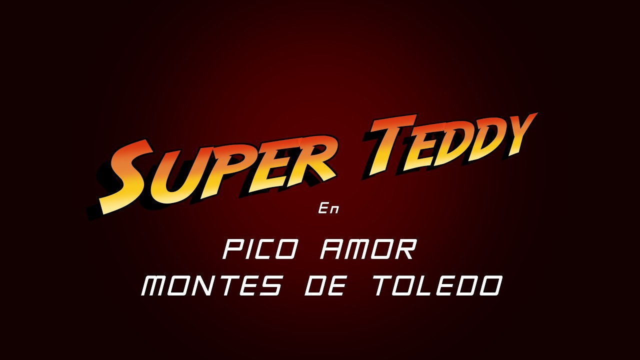 Teddy Pico Amor Ciudad Real