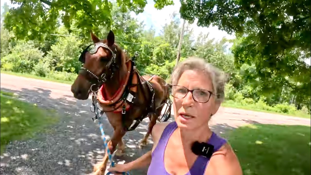 BRENDA IS TRYING SOMETHING NEW! #665