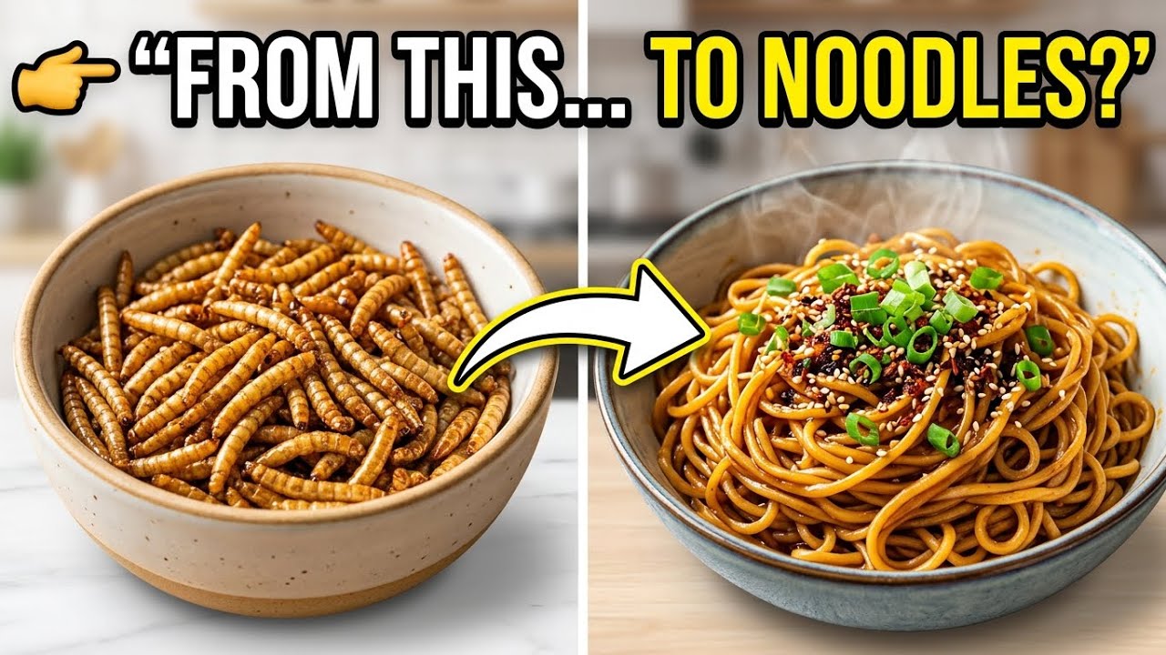 Inside the Mealworm Noodle Factory — Full Instant Noodle Process Revealed!
