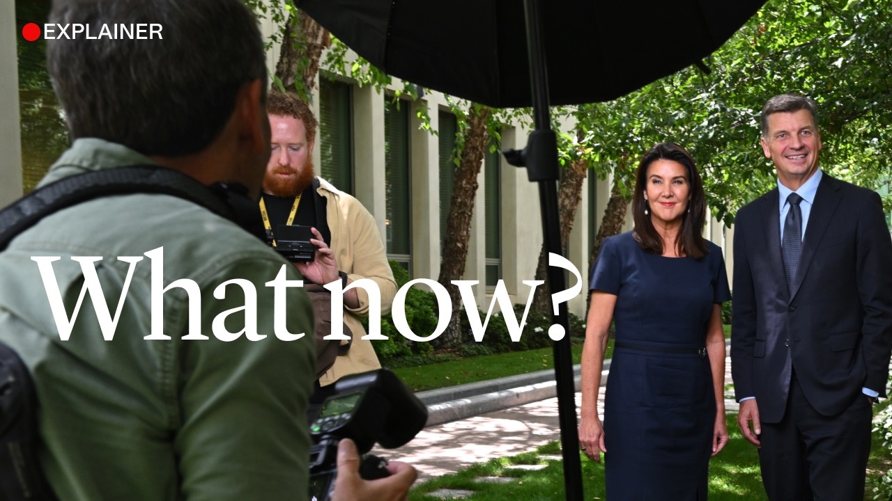 The (many) problems with Angus Taylor