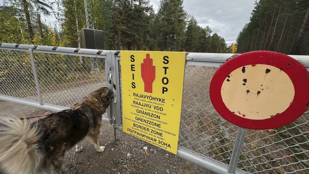 SVEZIA FINLANDIA NORVEGIA IN CAMPER CON 3 CANI