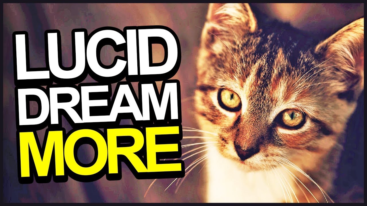 How To Have MORE Lucid Dreams (Tips & Tricks)