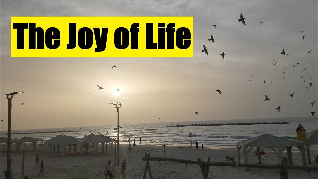 Променад в Тель-Авиве показывает истинную сторону Израиля.