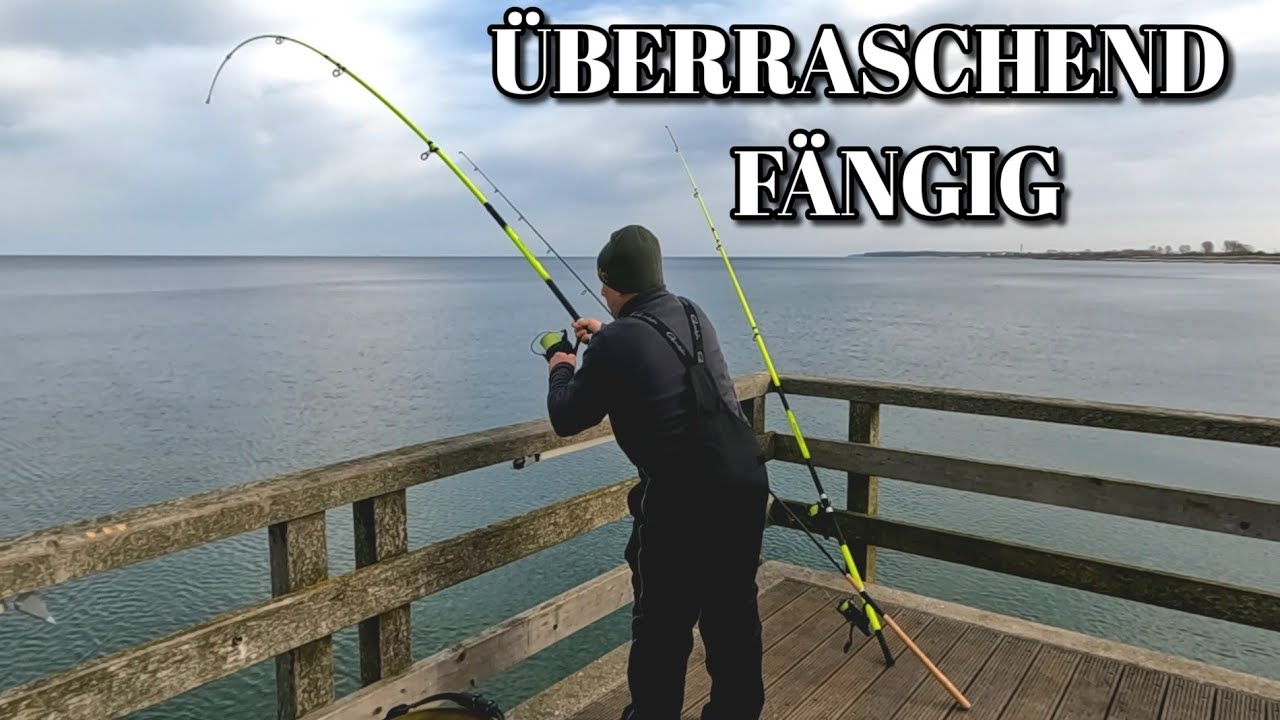 Guter Fang auf der Seebrücke beim Ostseeangeln im Februar 2026 . Angeln auf Plattfisch, Meerforelle 