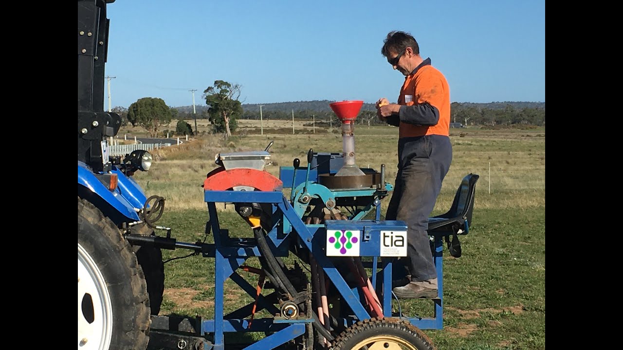 East Coast Perennial Legume Trial: June 2020 update