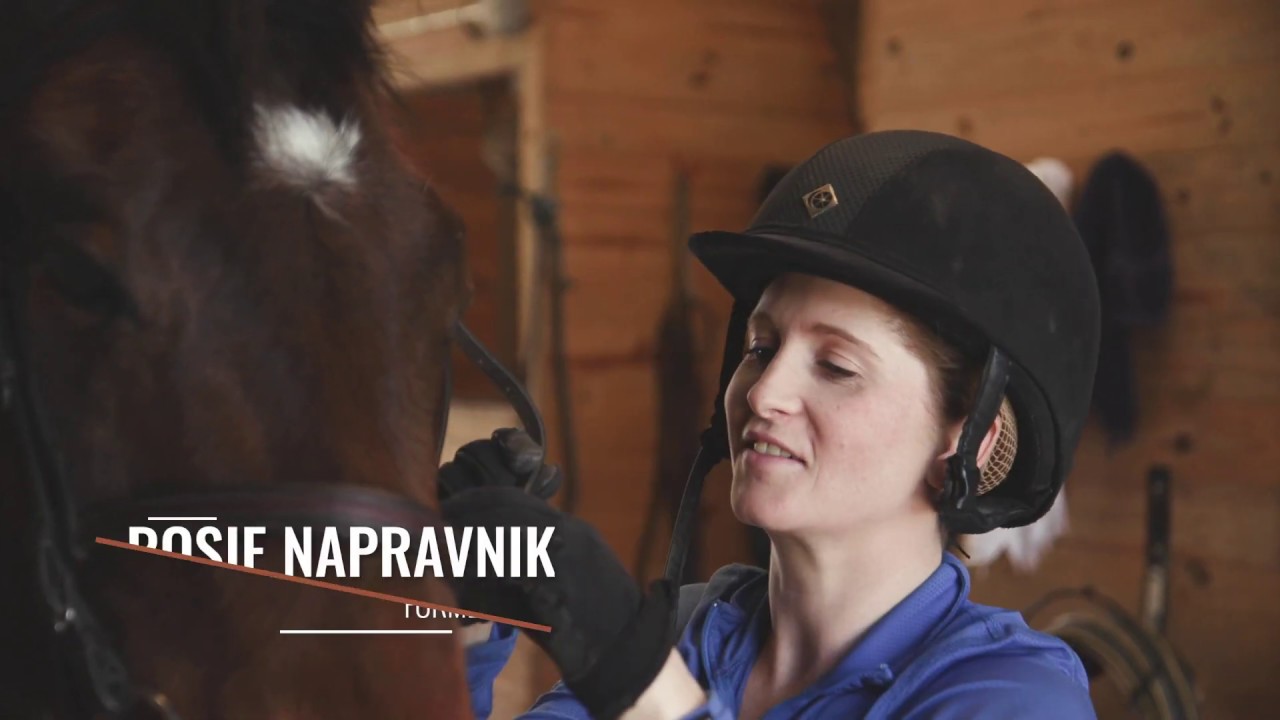 Riding with Rosie: Enjoying Journey with OTTBs, My Man Sam