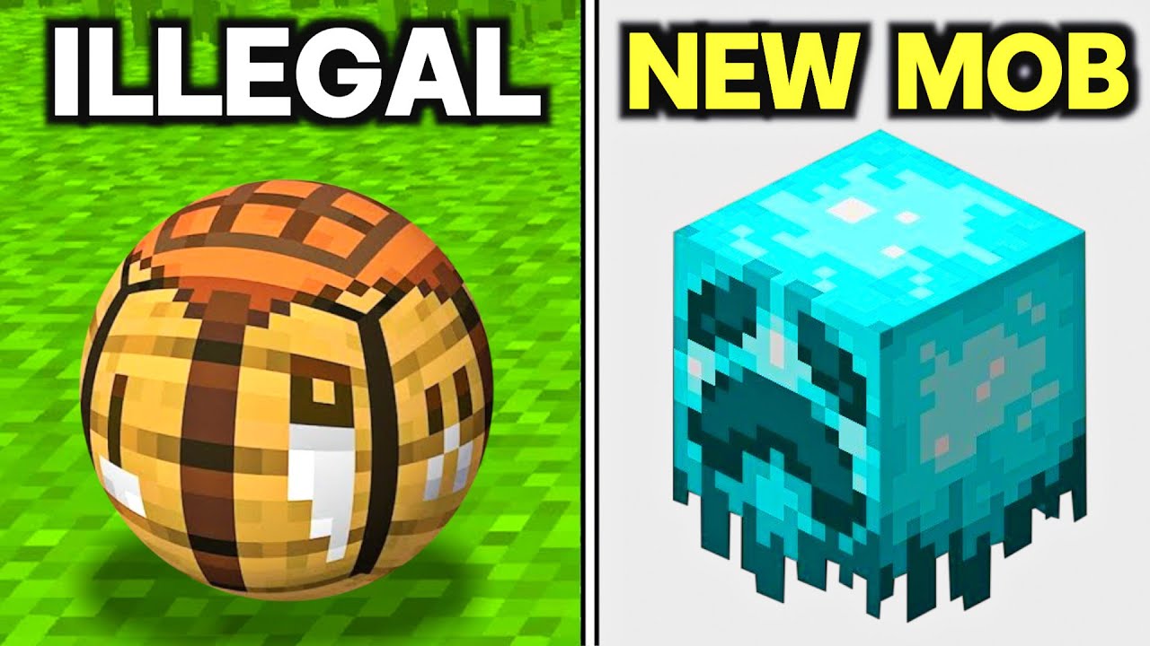 297 Minecraft Things You Didn't Know Existed