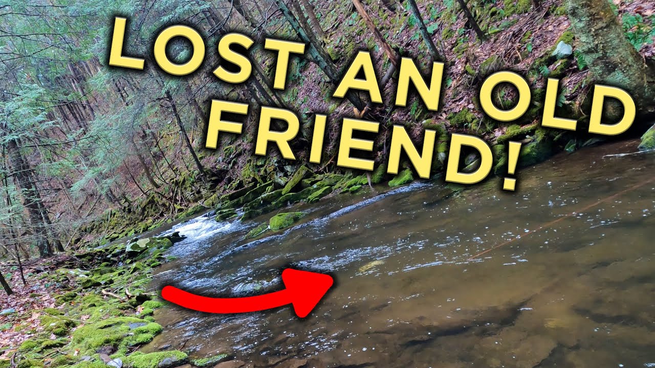 DRY DROPPER IN THE RAIN! Fly Fishing for Brook & Brown Trout