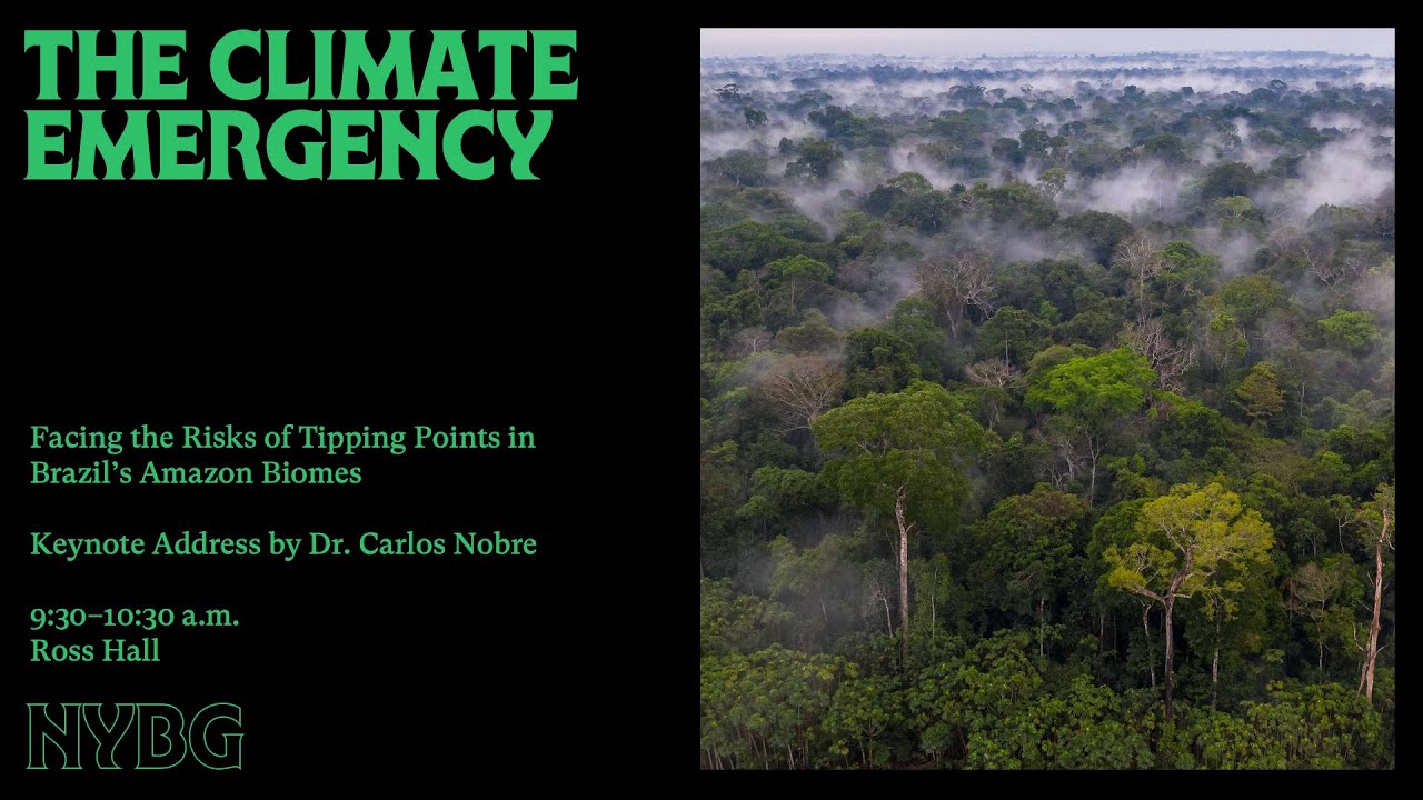 The Climate Emergency: Facing the Risks of Tipping Points in Brazil's Amazon Biome