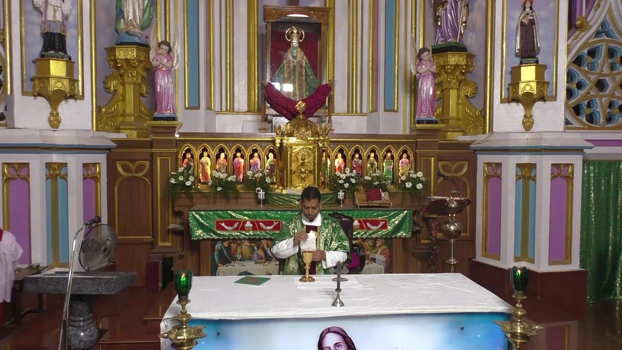 ༺♰༻ 🅛🅘🅥🅔 𝑽𝒂𝒅𝒂𝒗𝒂𝒊 𝑷𝒂𝒓𝒂𝒍𝒐𝒈𝒂 𝑴𝒂𝒕𝒉𝒂 - Daily Mass in Tamil -  2025 - திருப்பலி