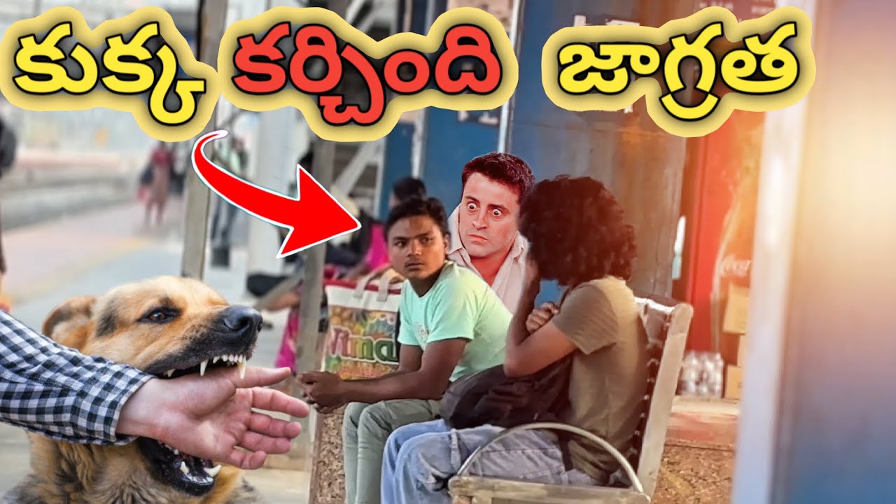 Kukka karchindi funny prank #prankvideo #funnyvideo #comedyvideo #entertainment #publicreaction
