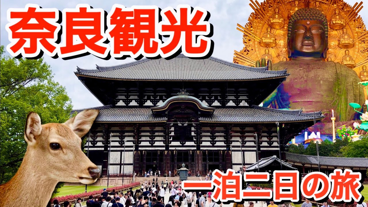 【文化財の宝庫】奈良観光 世界遺産を巡る1泊2日の旅