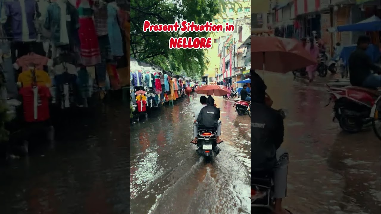 Present Situation in NELLORE ☔🌧️