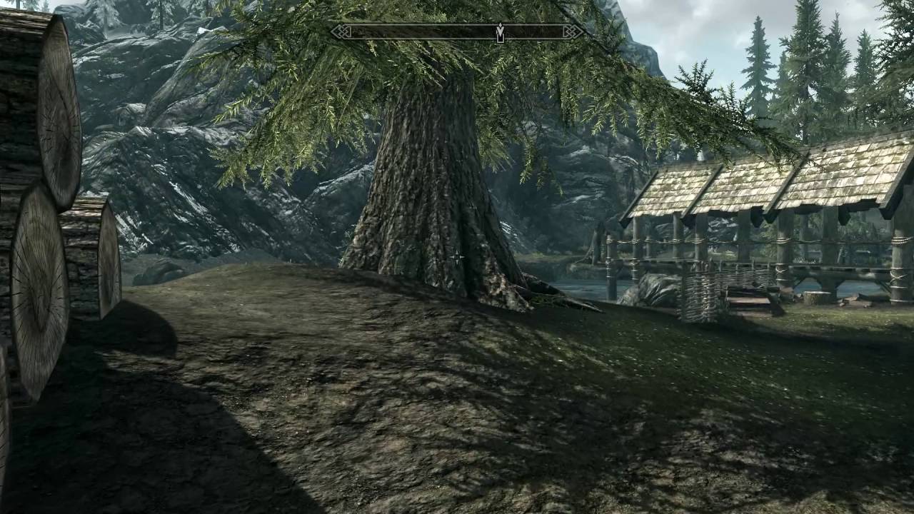 Elder Scrolls V  Skyrim Open World Test