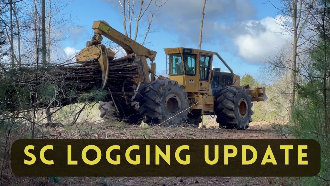 Logging in South Carolina **UPDATE**