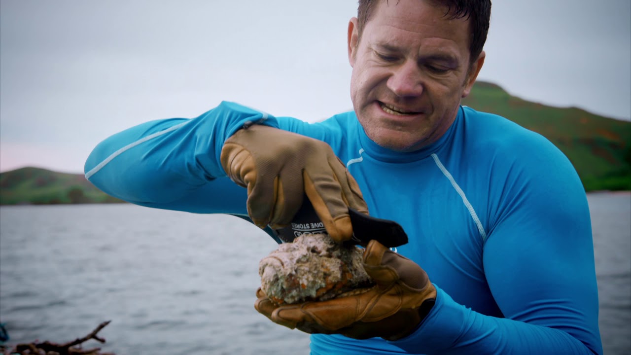 Stonefish - The world's most venomous fish