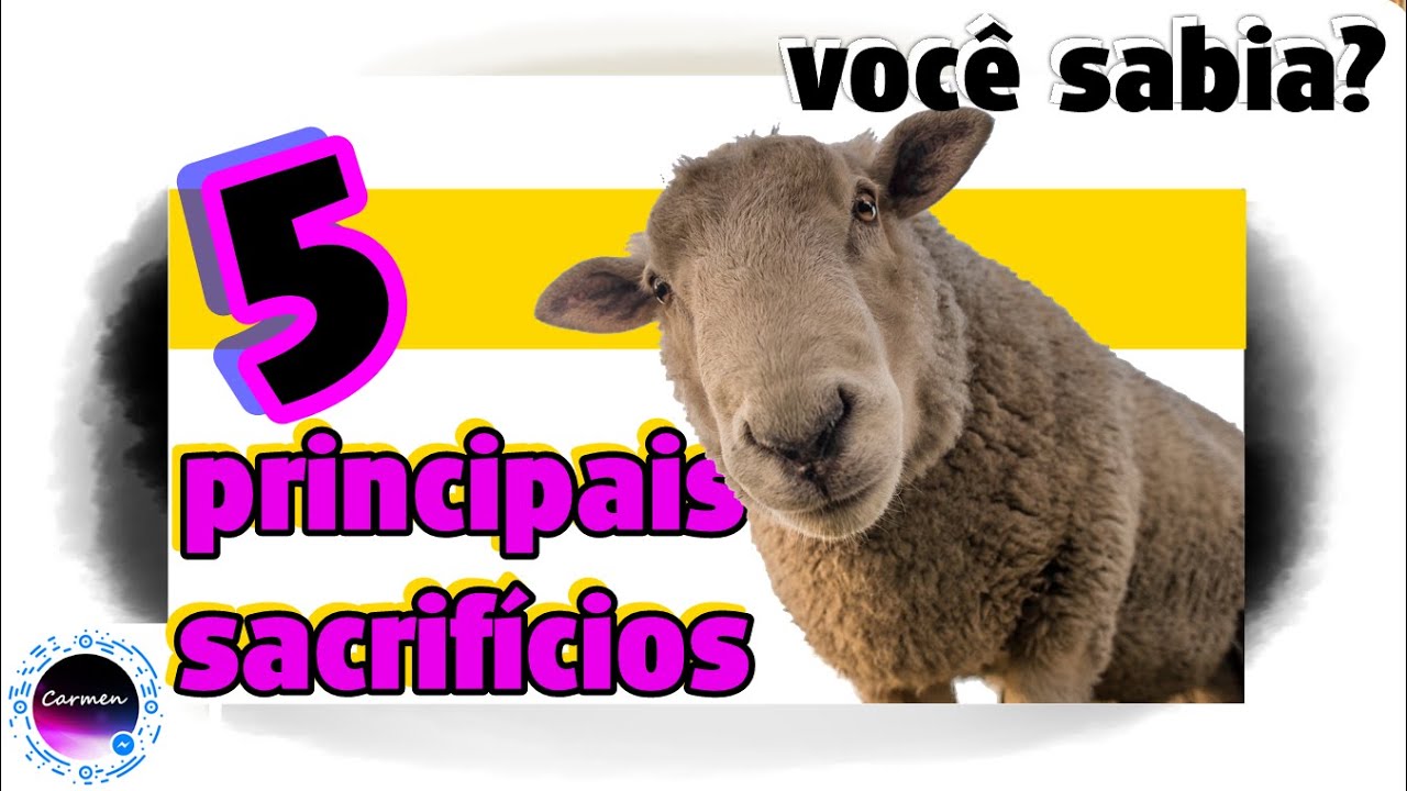 COMO ERA FEITO OS SACRIFÍCIOS DO AT? | As 5 principais ofertas do livro de Levítico
