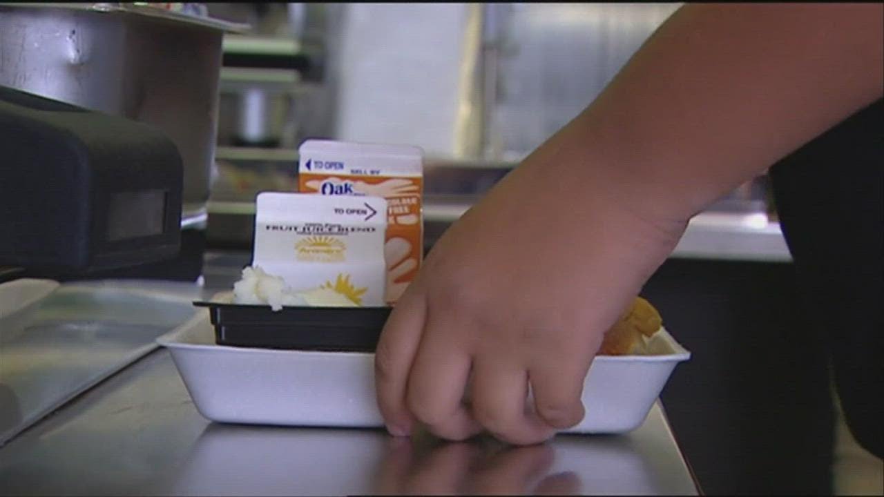 School lunch guidelines explained