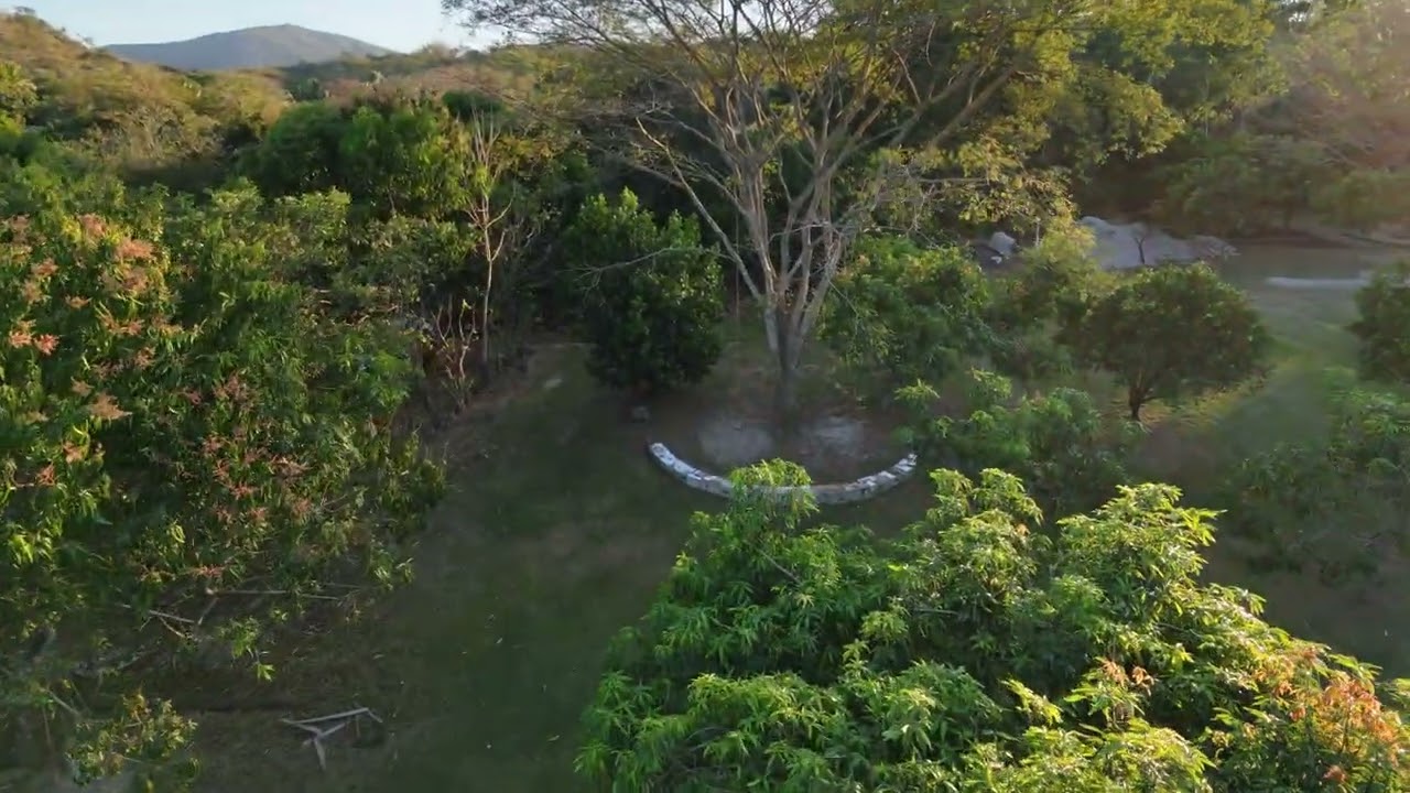 DJI NEO 2 - Prueba de velocidad - Lechones de Santa Lucia