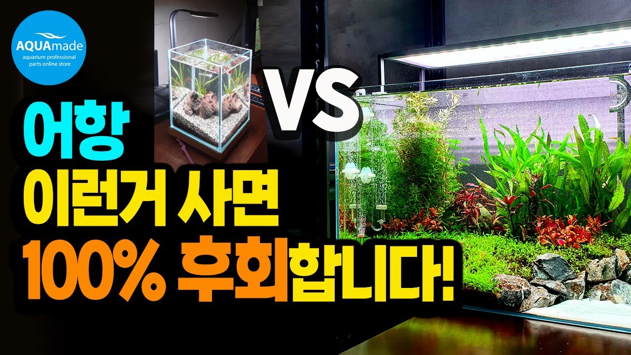 구피 키우기 시작, 어항은 어떤걸 사야할 까요? 열대어 키울 때 작은 어항으로 시작 해도 되나요? 물생활 입문자들의 첫번째 고민! 어항선택 해결 해 드립니다