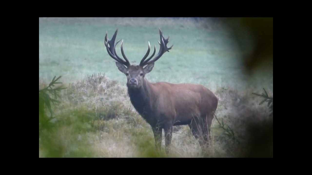Naturpark Vulkanregion Hoher Vogelsberg