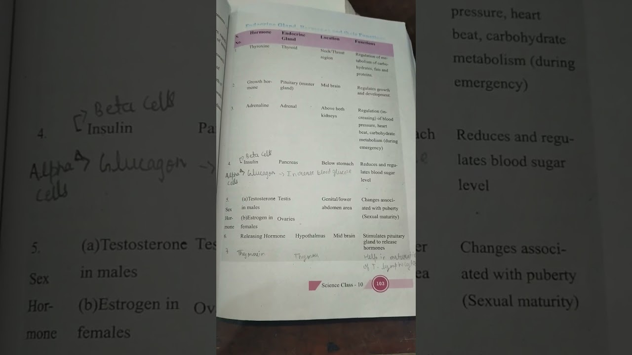 Class 10 control and coordination hormone functions 