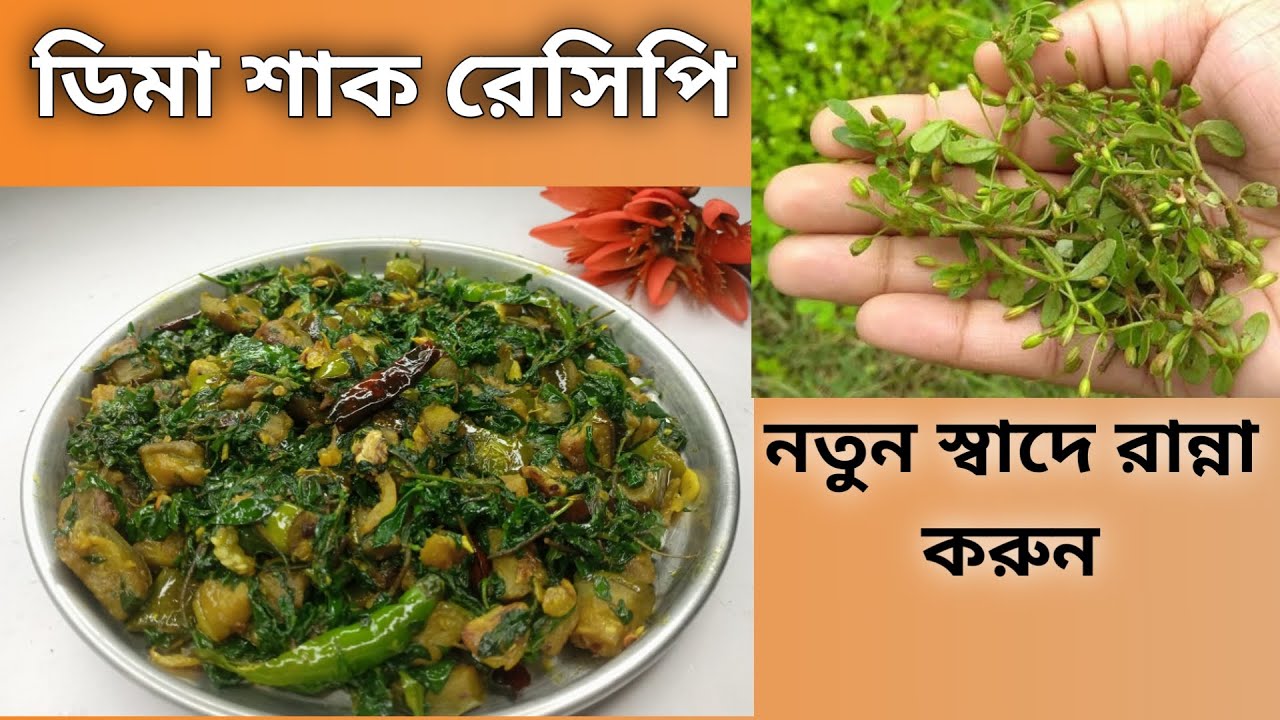 Delicious Dime Shak Recipe by New Taste Cooking | Cooking Unknown & Rare India Vegetables