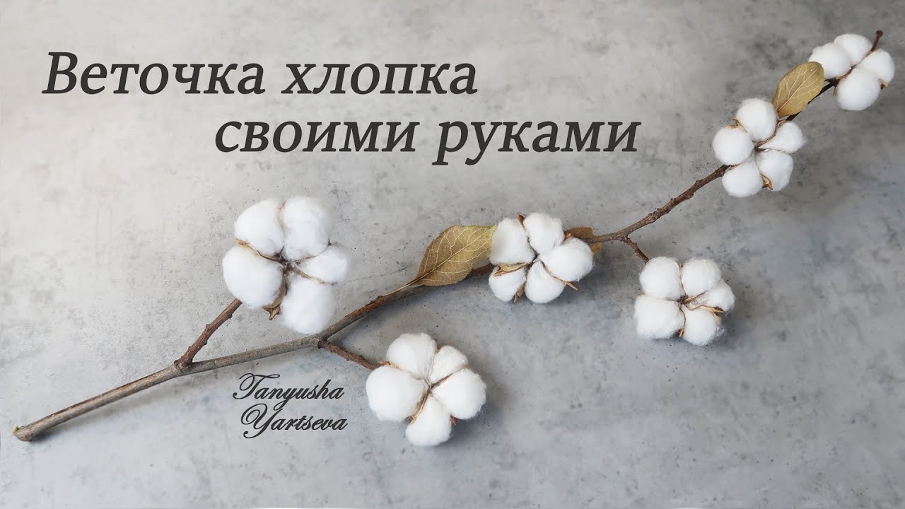 Натуральная веточка Хлопка своими руками.