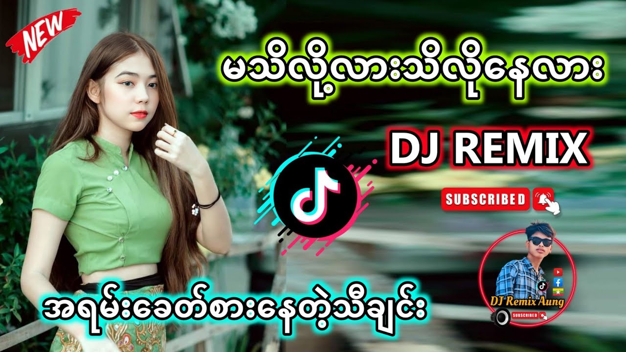 မသိလို့လားသိလို့နေလား_ပိုးအိစံ_အရမ်းခေတ်စားနေတဲ့မြန်မာဒီဂျေမြူးမြူးလး//MYANMAR DJ REMIX