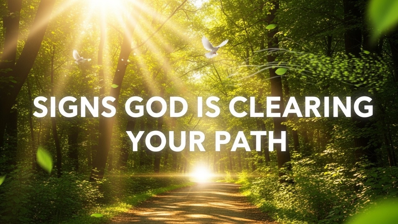 7 Biblical Signs God Is Clearing Your Path