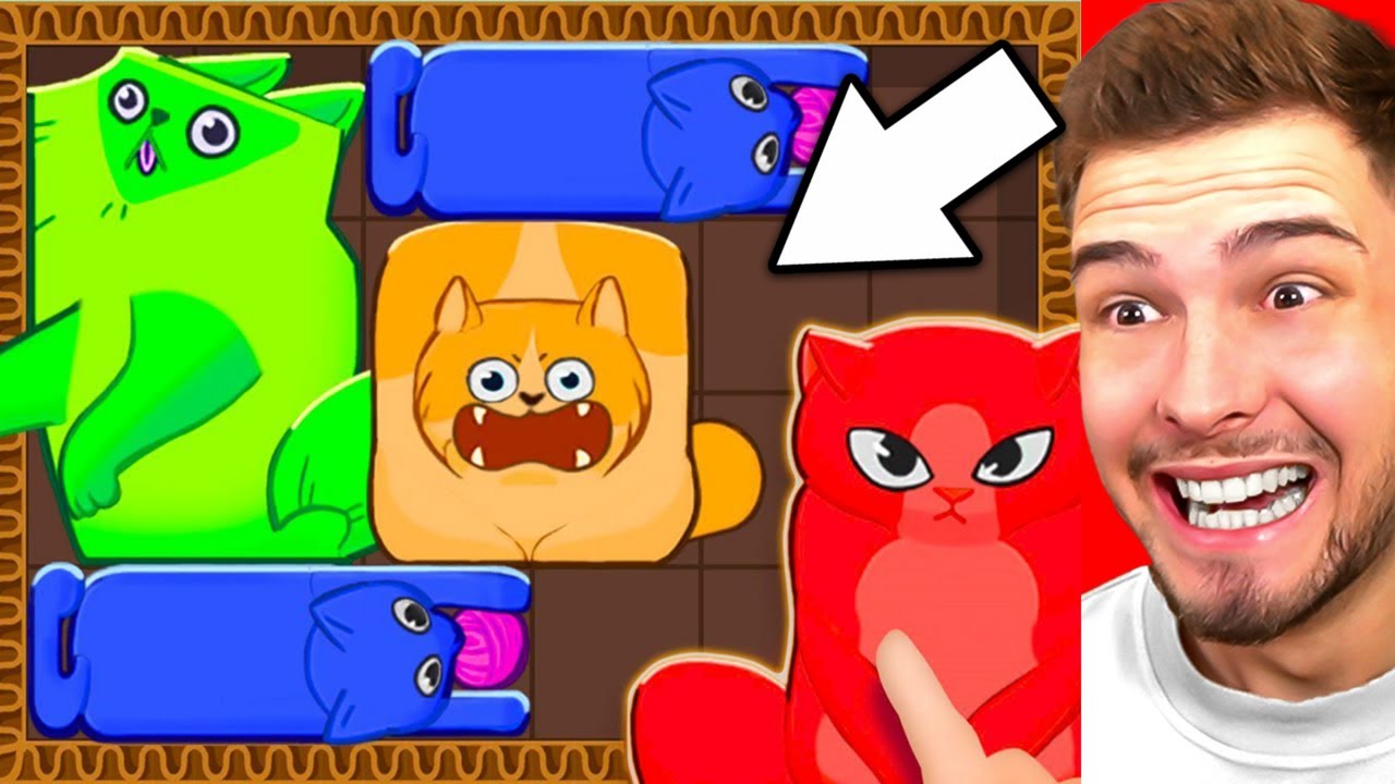 PLATZIERE ALLE KATZEN RICHTIG! (Puzzle Cats)